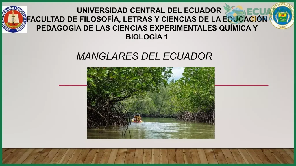 ¿Guía de Manglares en Ecuador: Especies y Conservación?