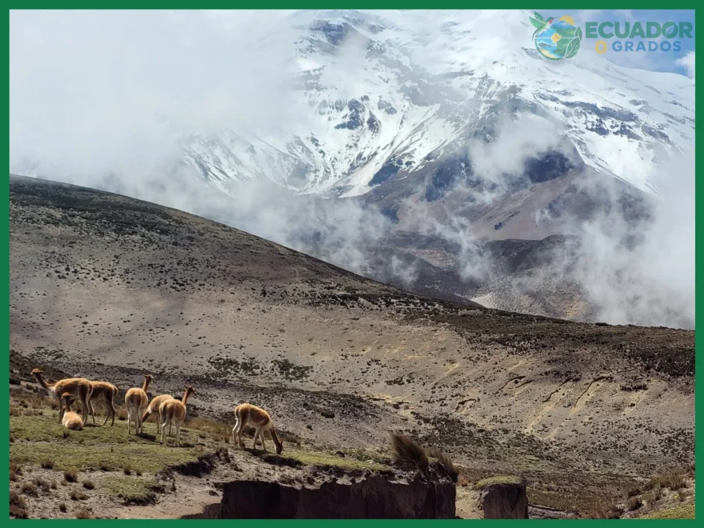 ¿Guía de Viaje Para Visitar el Volcán Chimborazo?