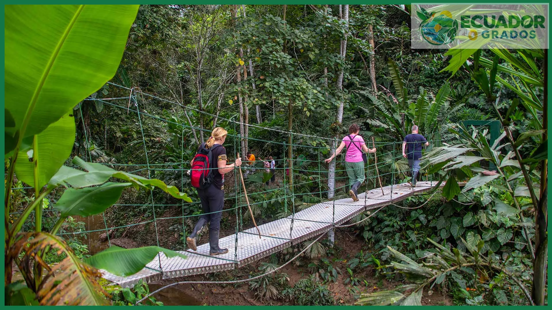 Guía para visitar la Amazonía ecuatoriana por primera vez
