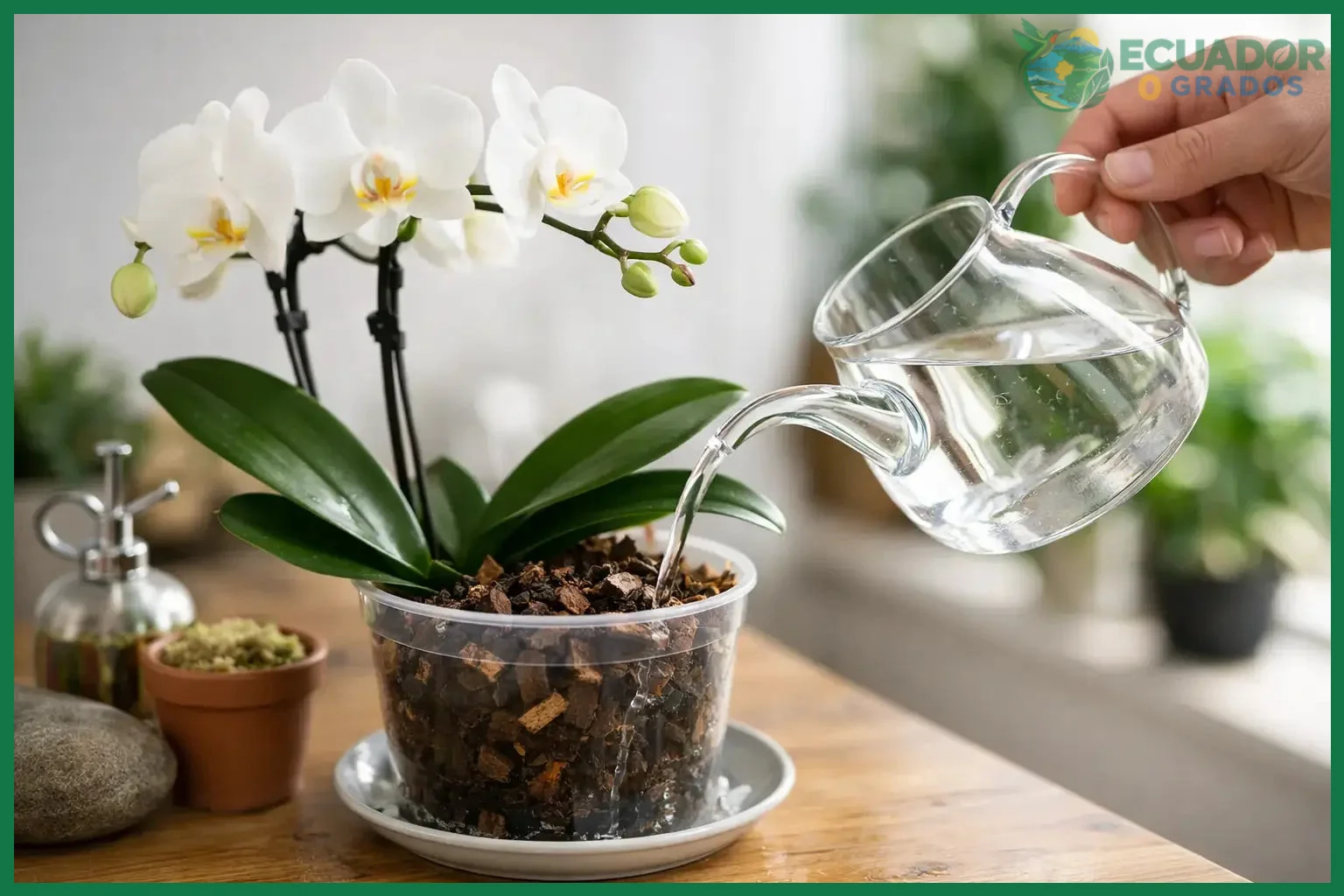 Humedad ambiental entre 50 % y 80 %