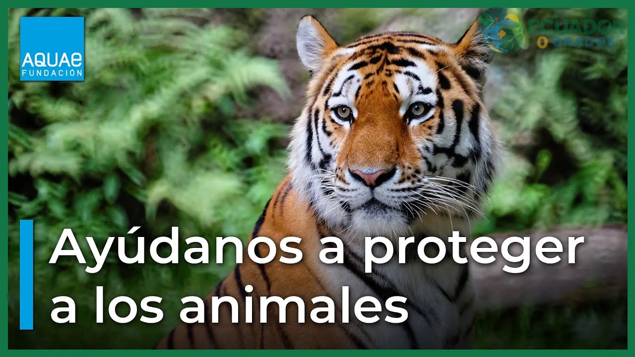 Identificar las especies endémicas de tu provincia o región