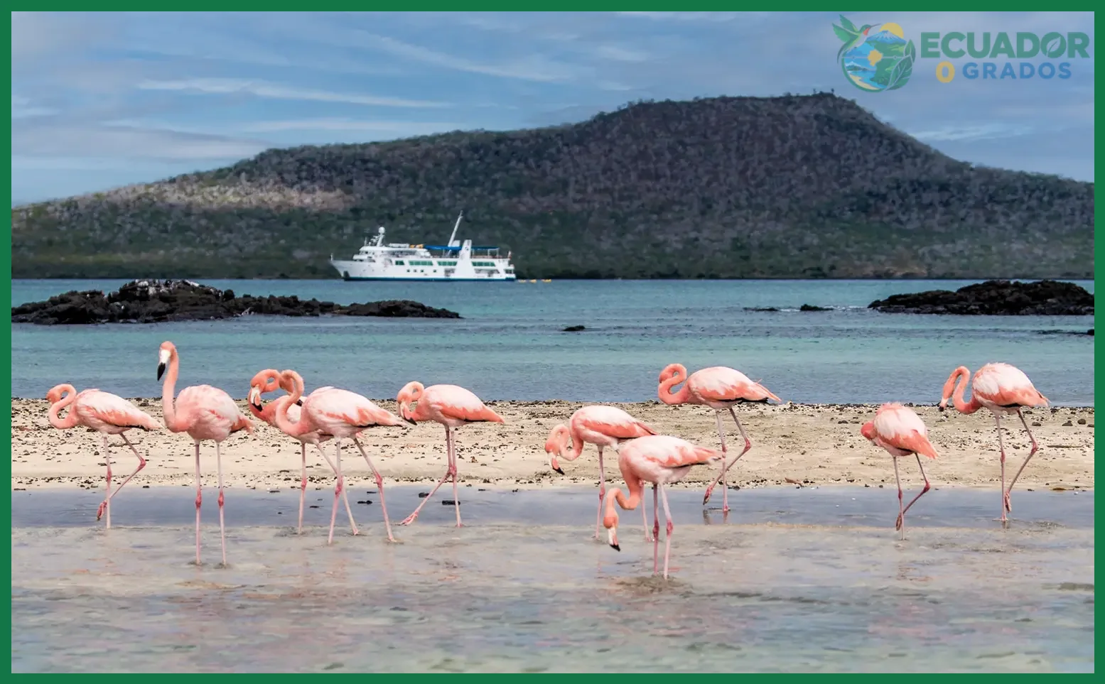 Itinerarios de cruceros que incluyen sitios con presencia de flamencos