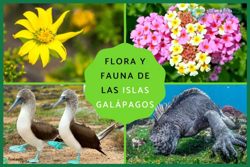¿La flora y fauna nativa endémica y única hacen de las Islas?