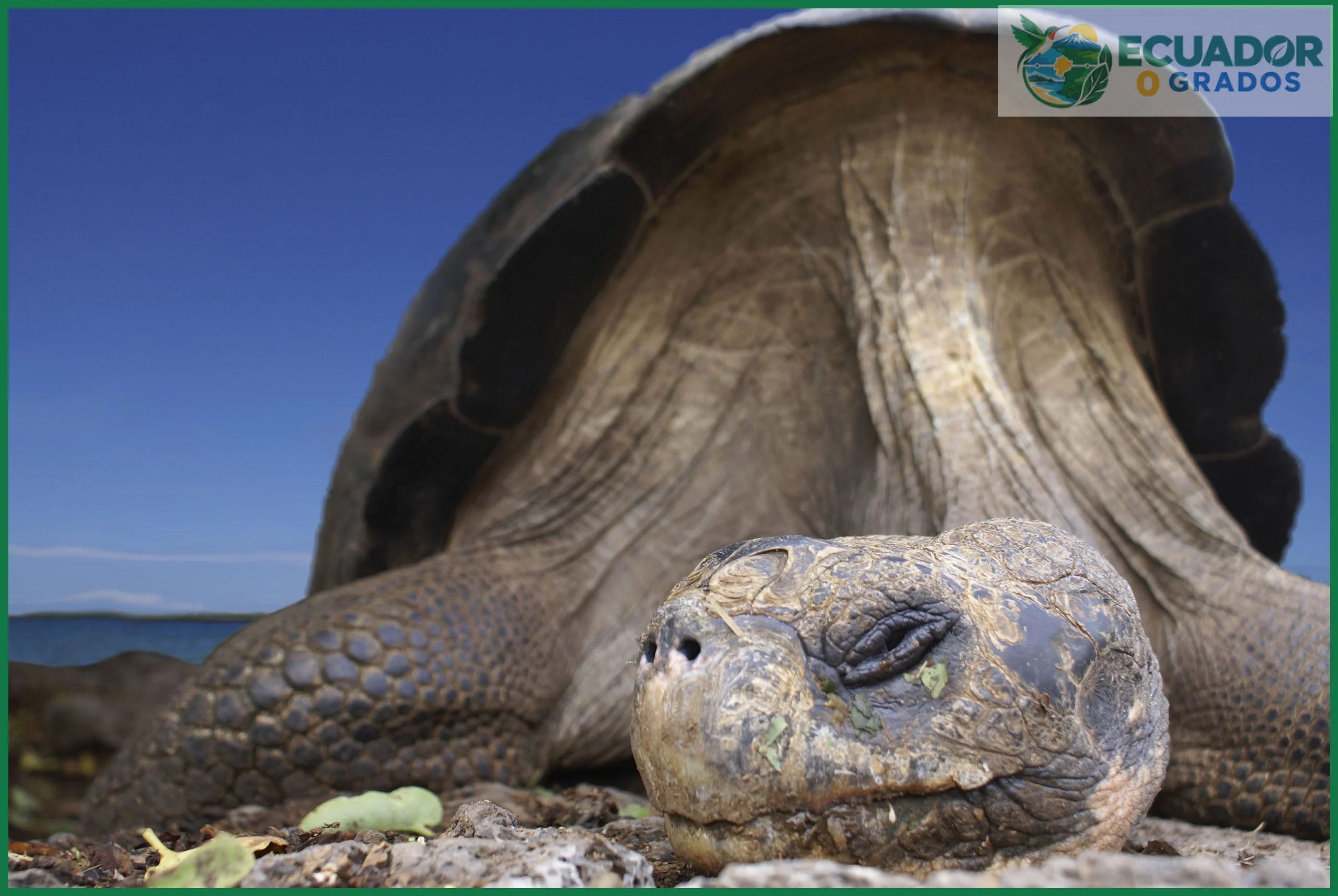 Las islas donde se concentran las especies endémicas del archipiélago