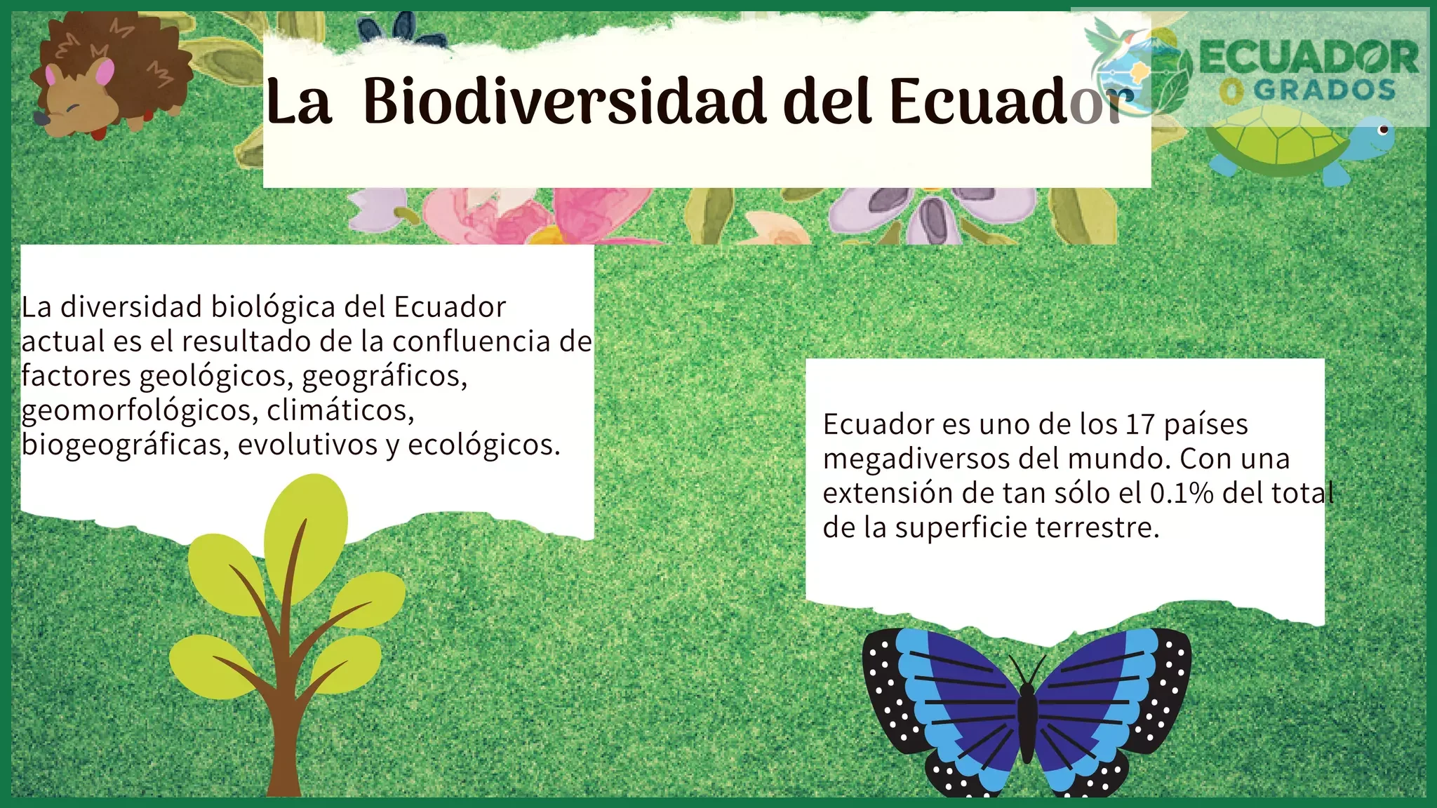 Los 45 tipos de vegetación y su relación con la variedad de especies