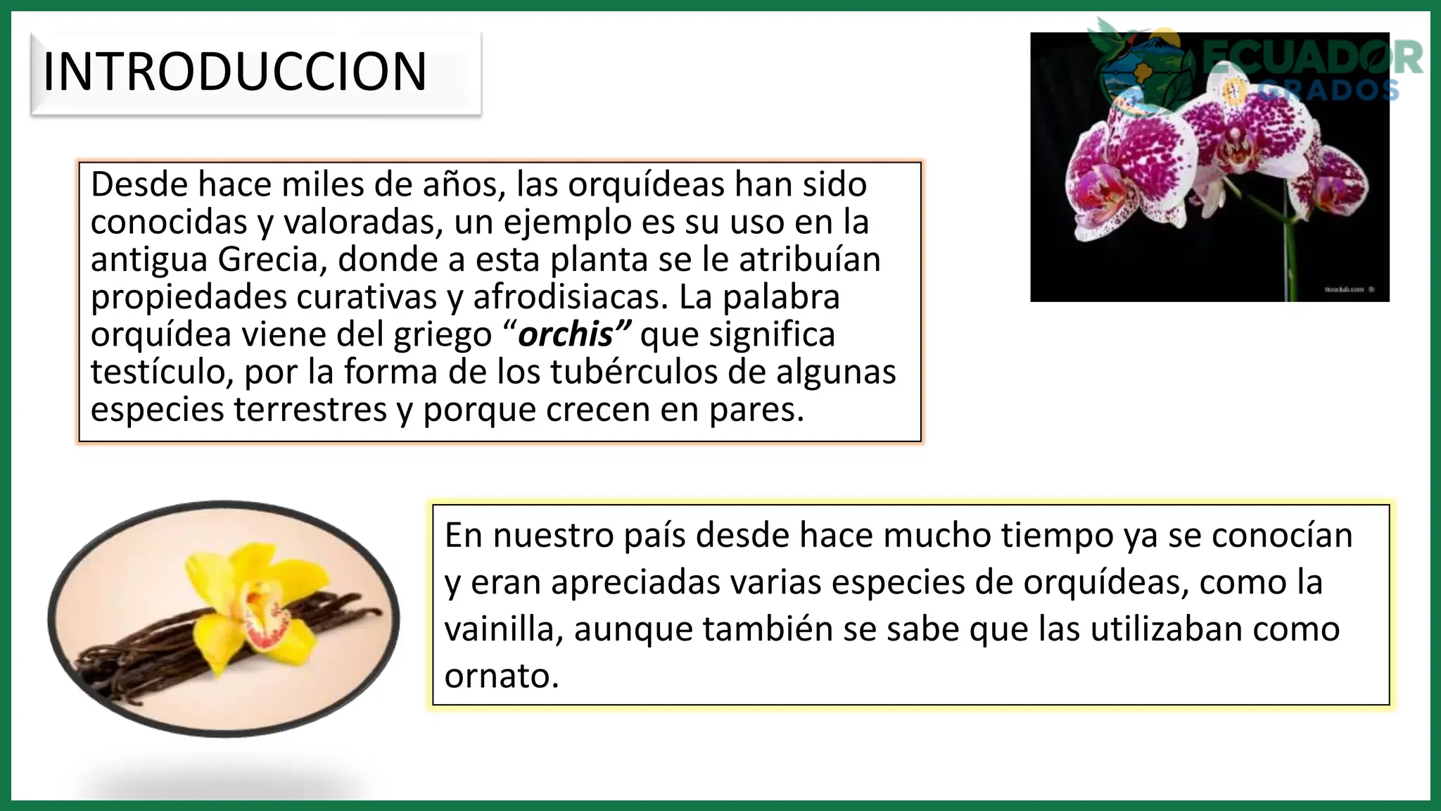 Luz indirecta brillante y temperatura para orquídeas ecuatorianas