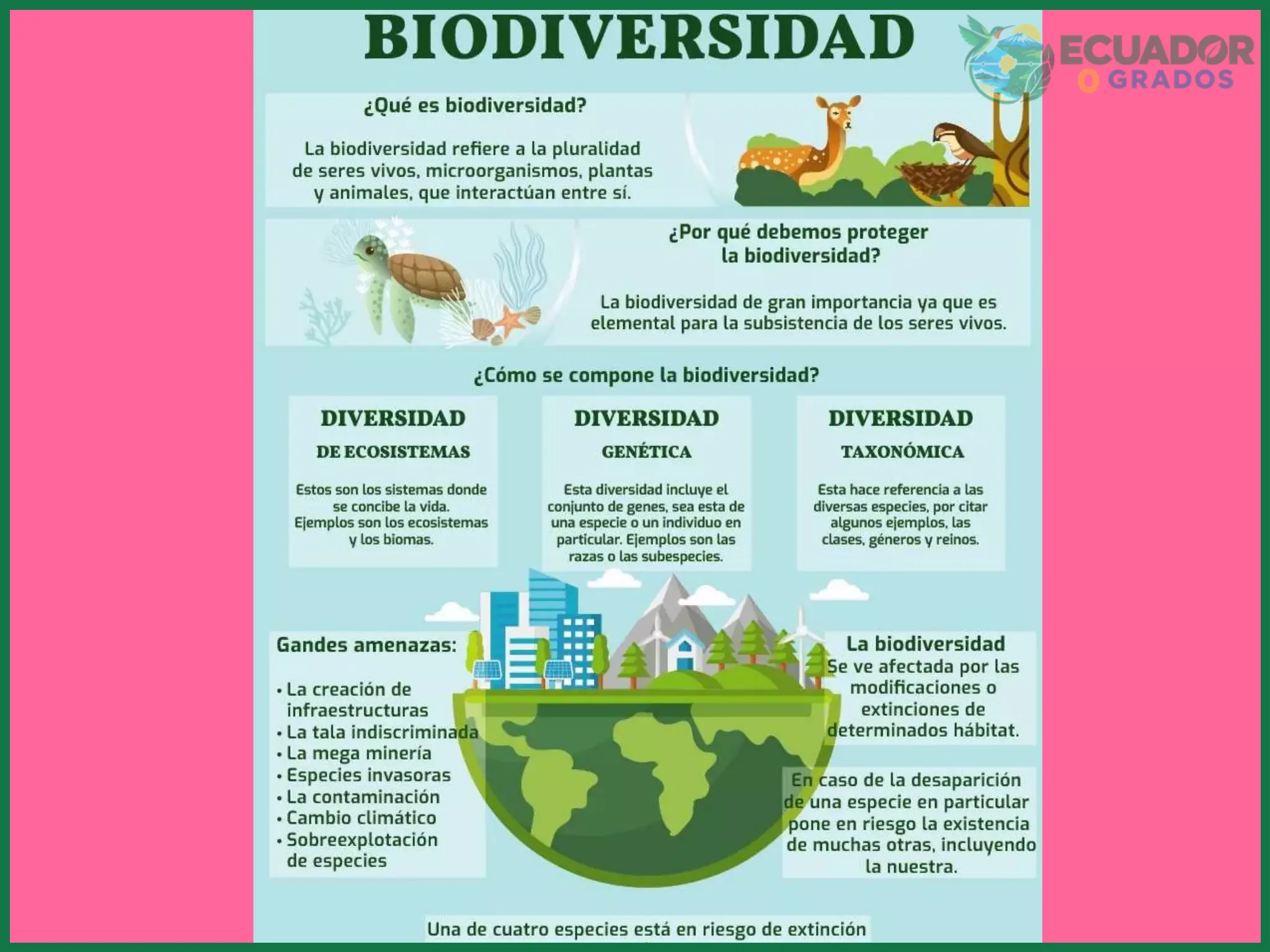 No comprar ni adoptar especies exóticas como mascotas en el hogar ecuatoriano