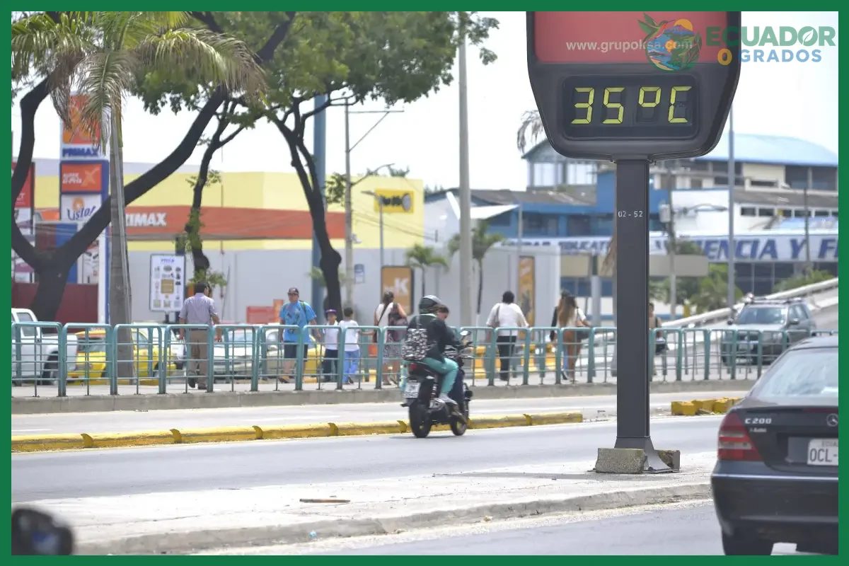 Paso 1 — Analizar el clima de la Amazonía ecuatoriana mes a mes