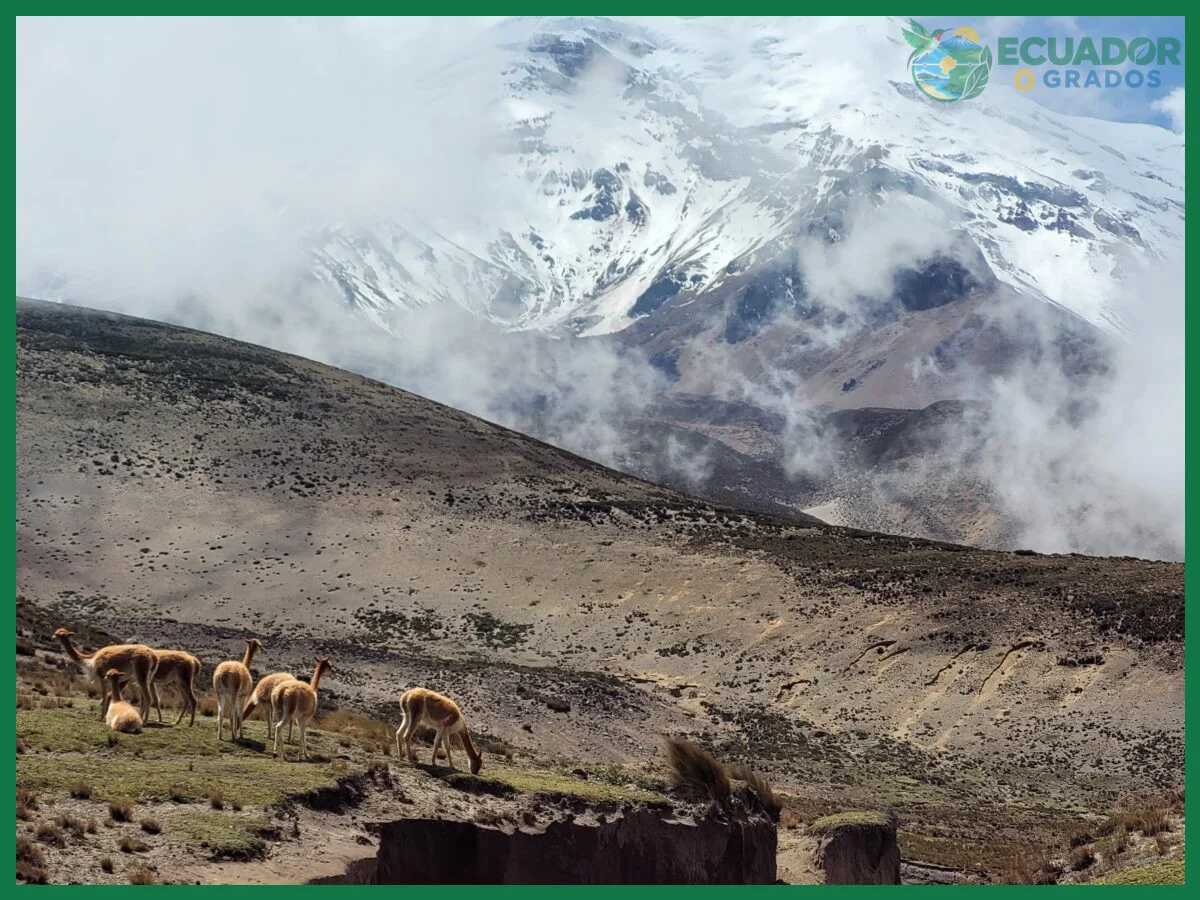 Paso 1 — Cómo llegar al Volcán Chimborazo desde Riobamba o Ambato