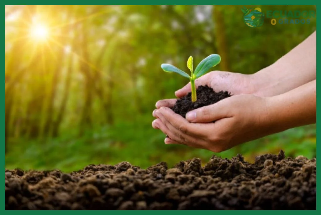 Paso 1 — Reconocer la biodiversidad del Ecuador presente en tu vida diaria