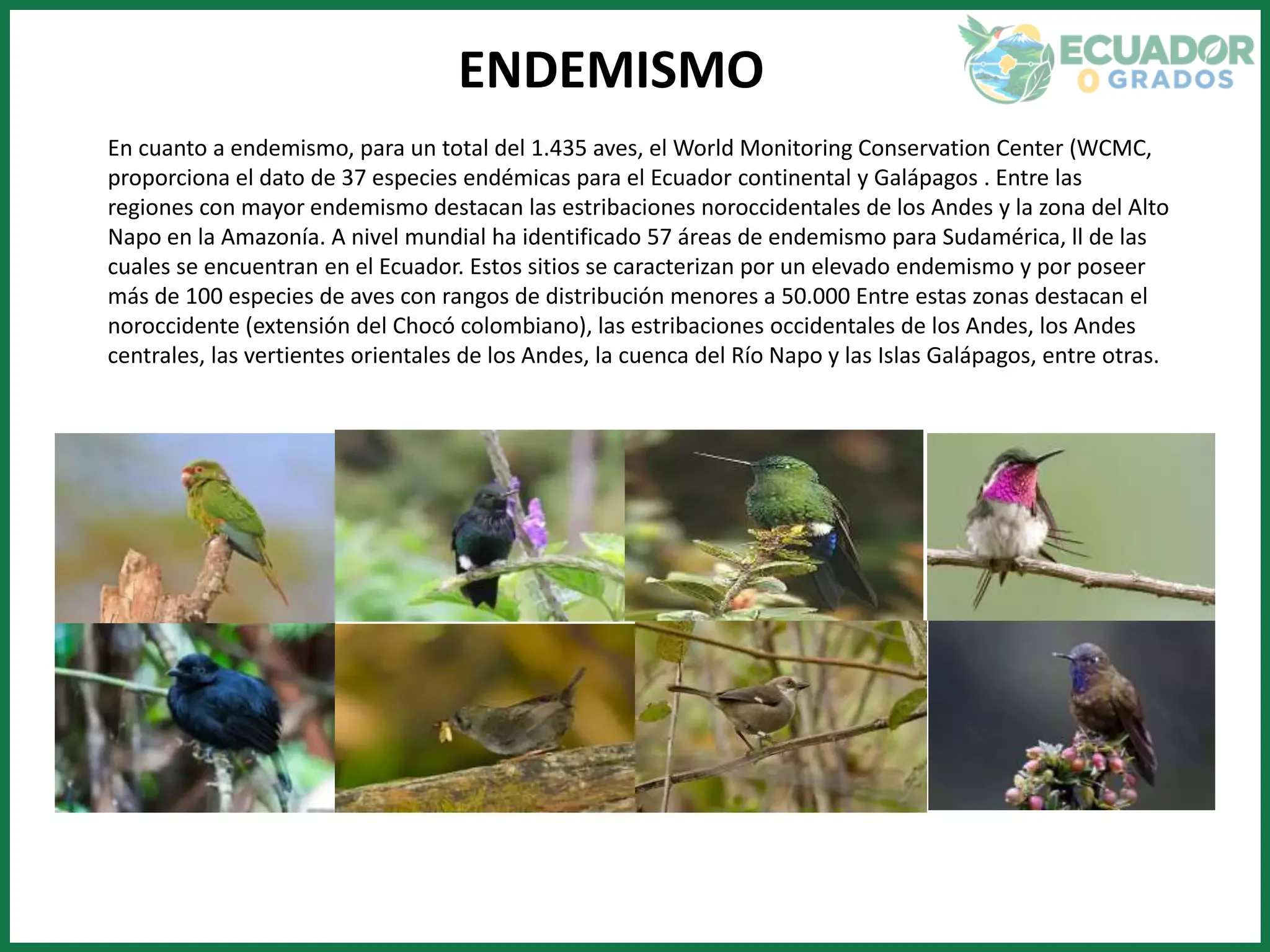 Pisos altitudinales y ecosistemas andinos de las aves endémicas