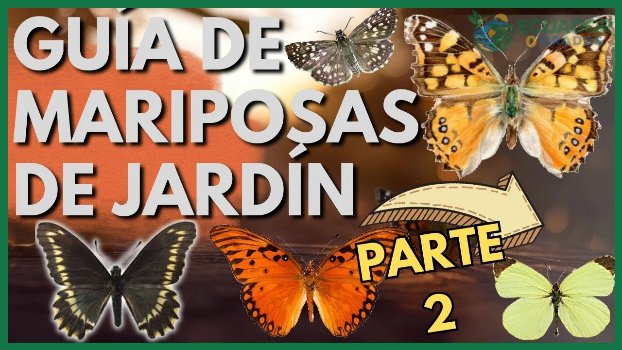 Plantas hospederas, polinización y minerales en el barro o ríos