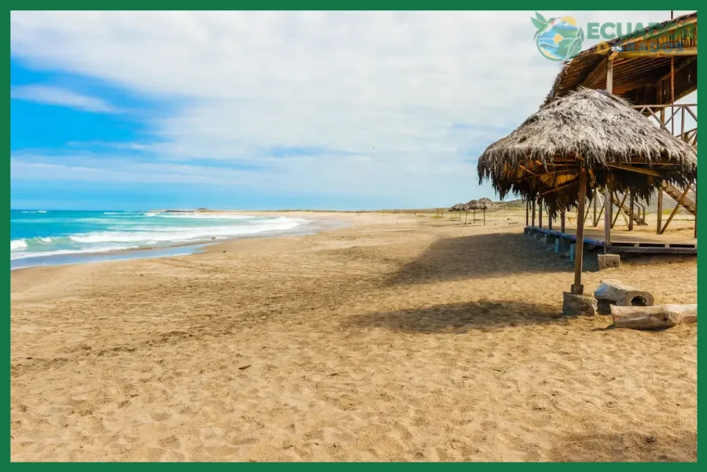 ¿Playas de Ecuador?