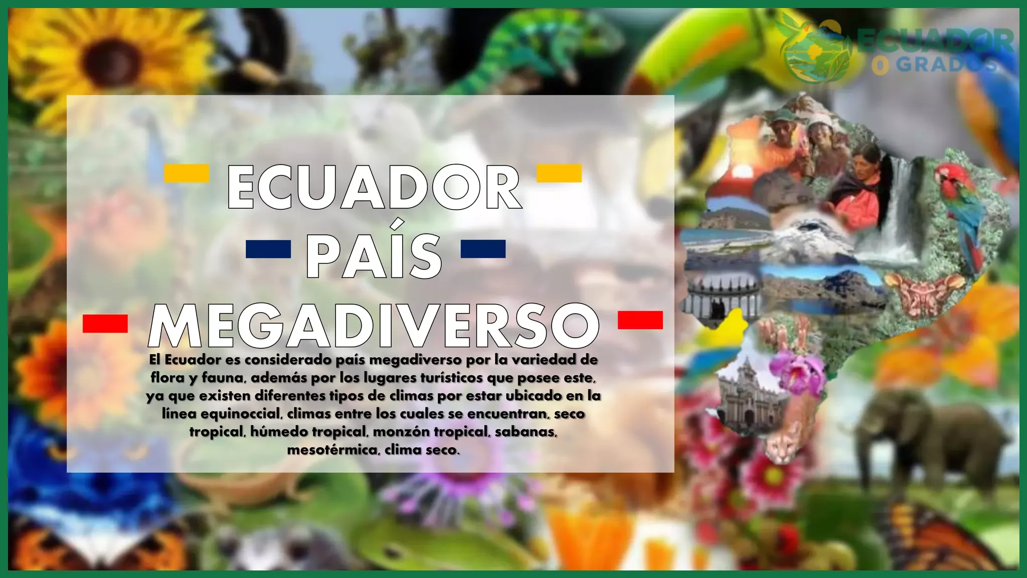 Por qué Ecuador es megadiverso