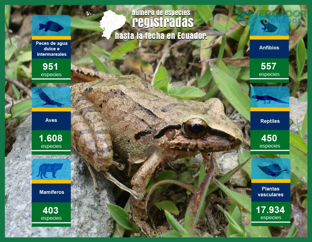Porcentaje de anfibios y reptiles endémicos en Ecuador