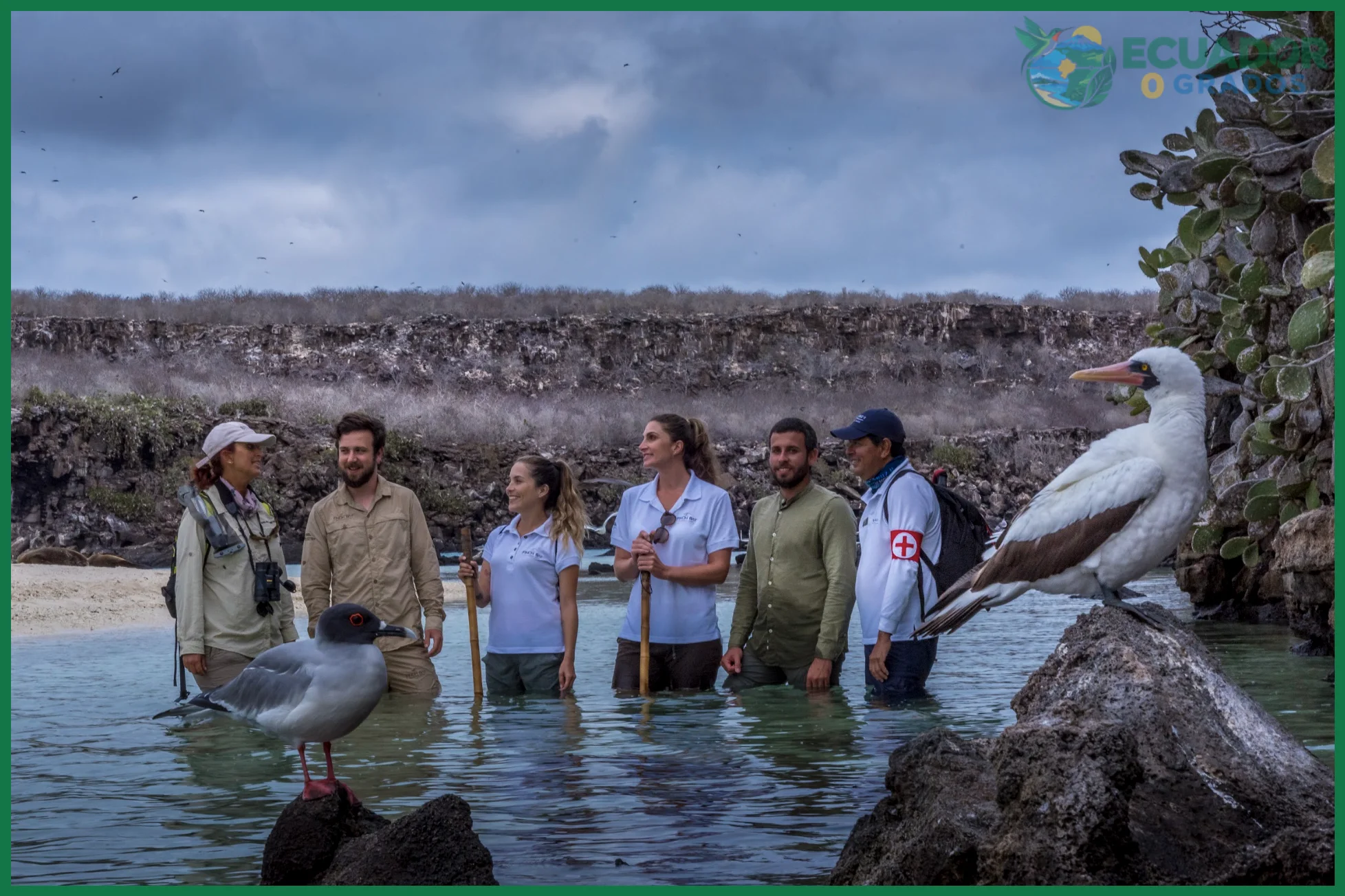 Principales especies endémicas de Galápagos y dónde observarlas