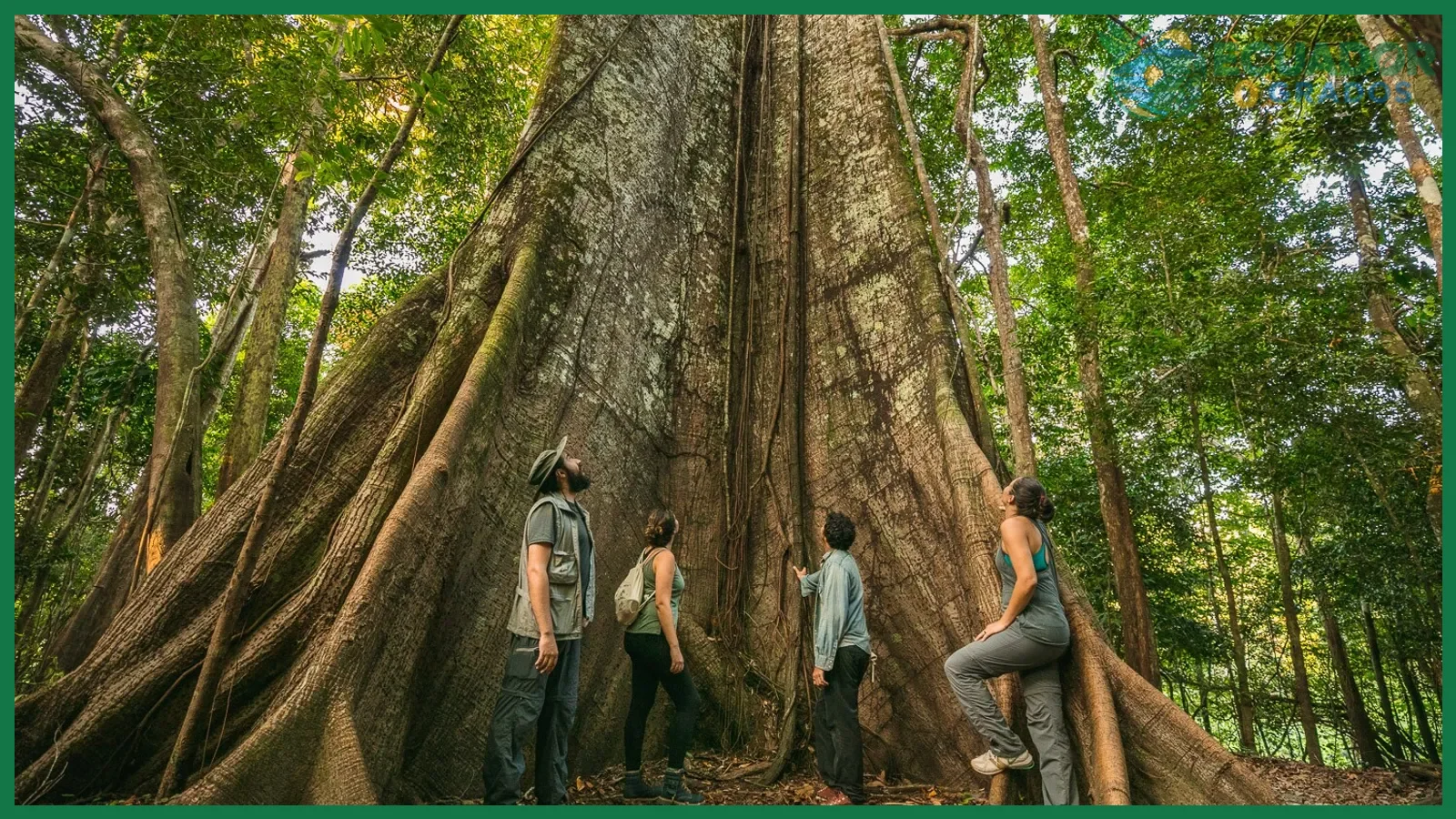 Qué actividades se pueden hacer en la Amazonía ecuatoriana