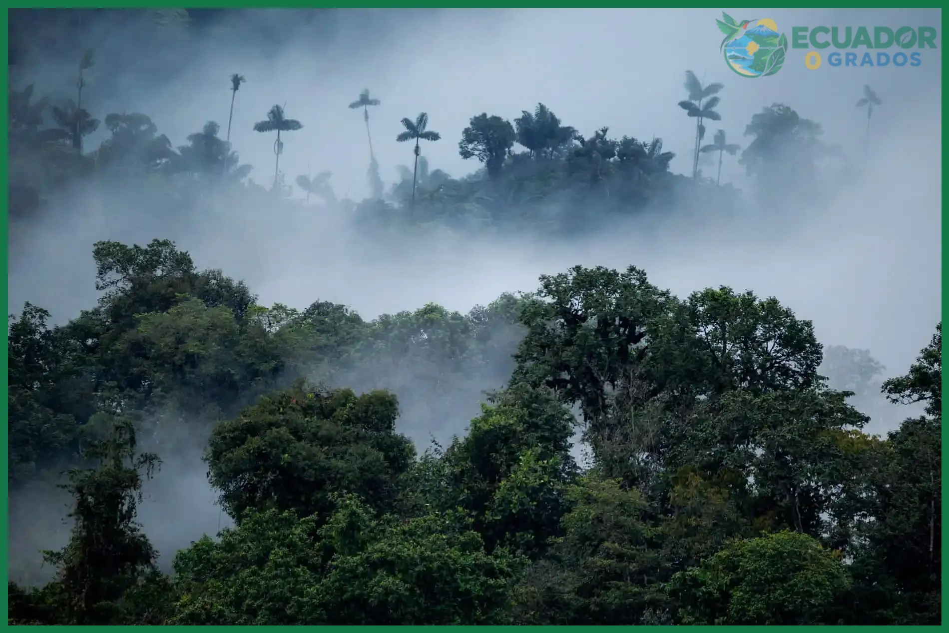 Qué determina cuántos días se necesitan para conocer la Amazonía de Ecuador