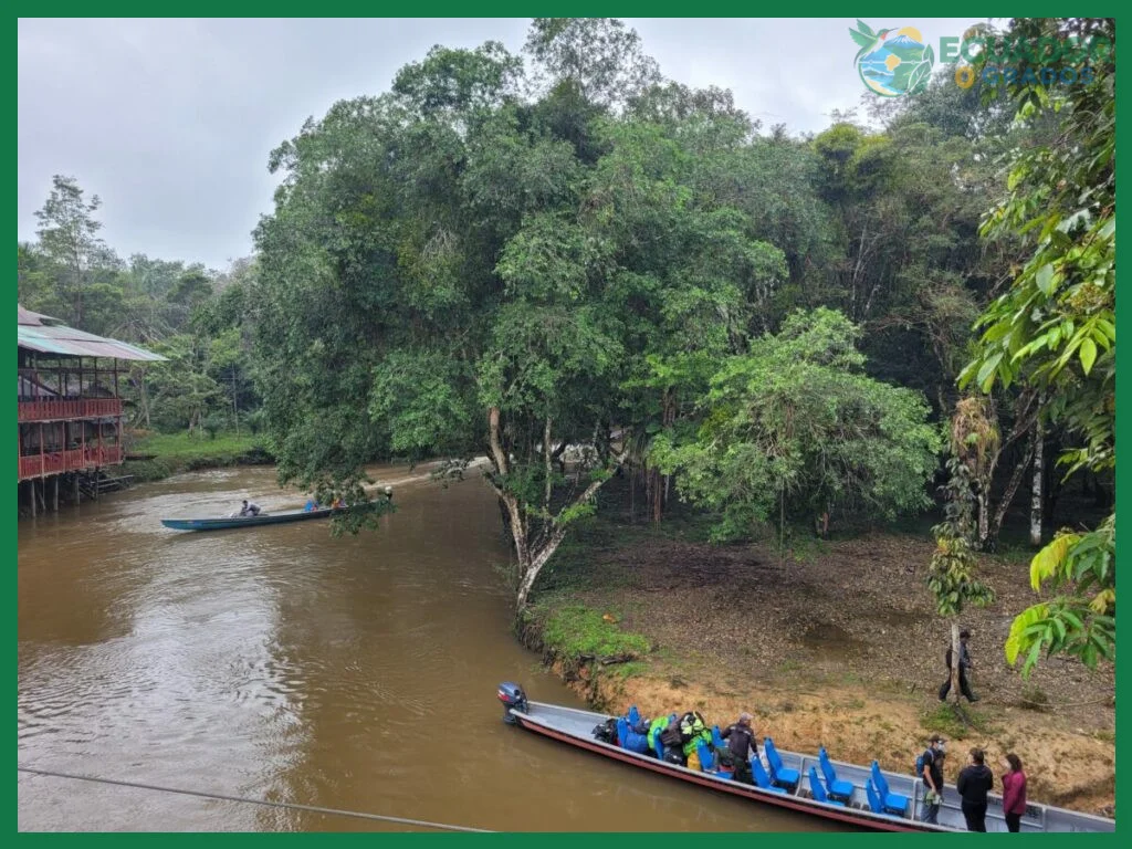 Navegación por el sistema lacustre de la reserva Cuyabeno