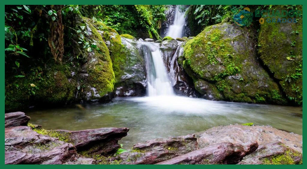 Qué es el Bosque Nuboso de Mindo y qué hacer allí