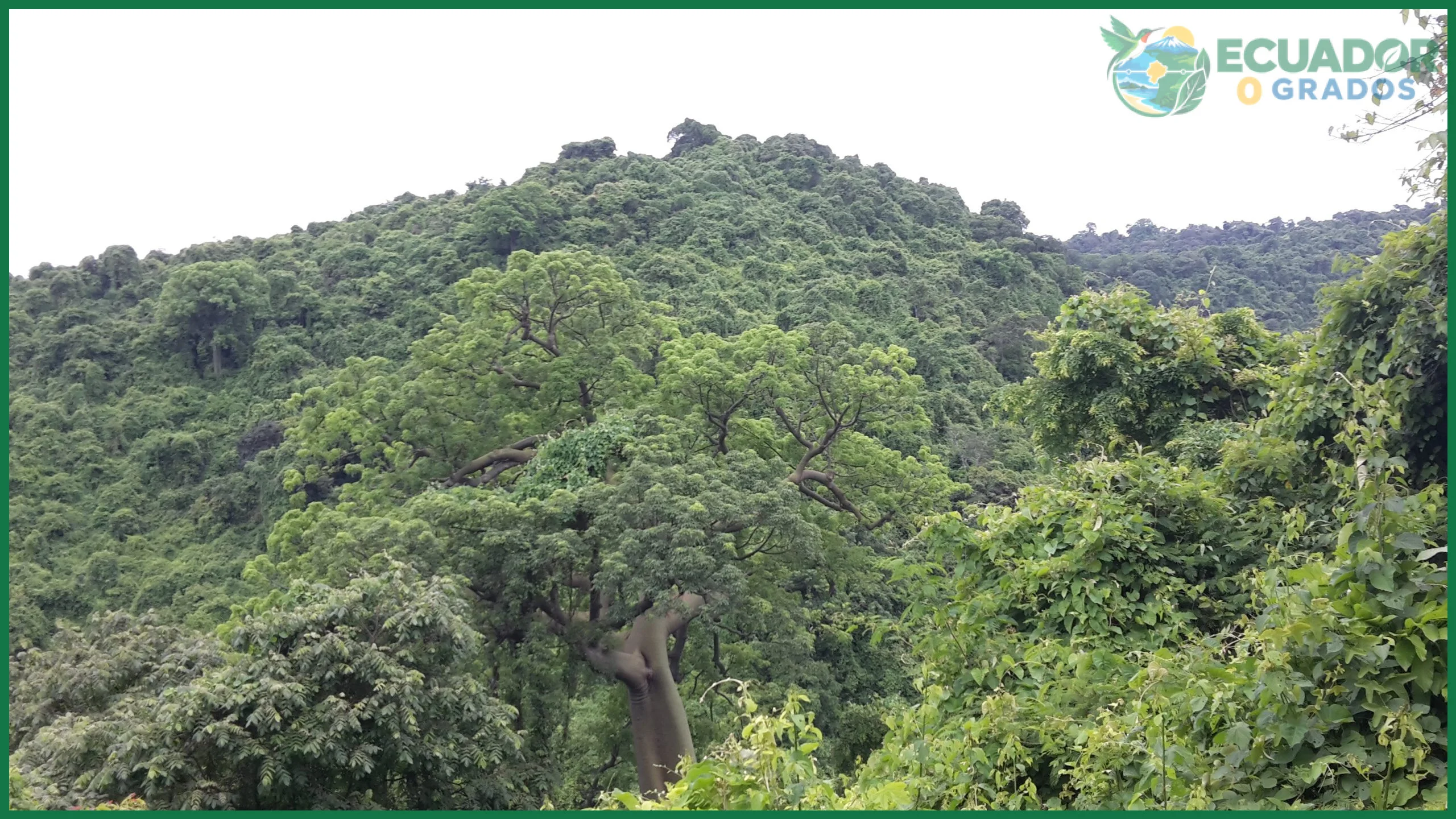 Qué es el Bosque Protector Cerro Blanco