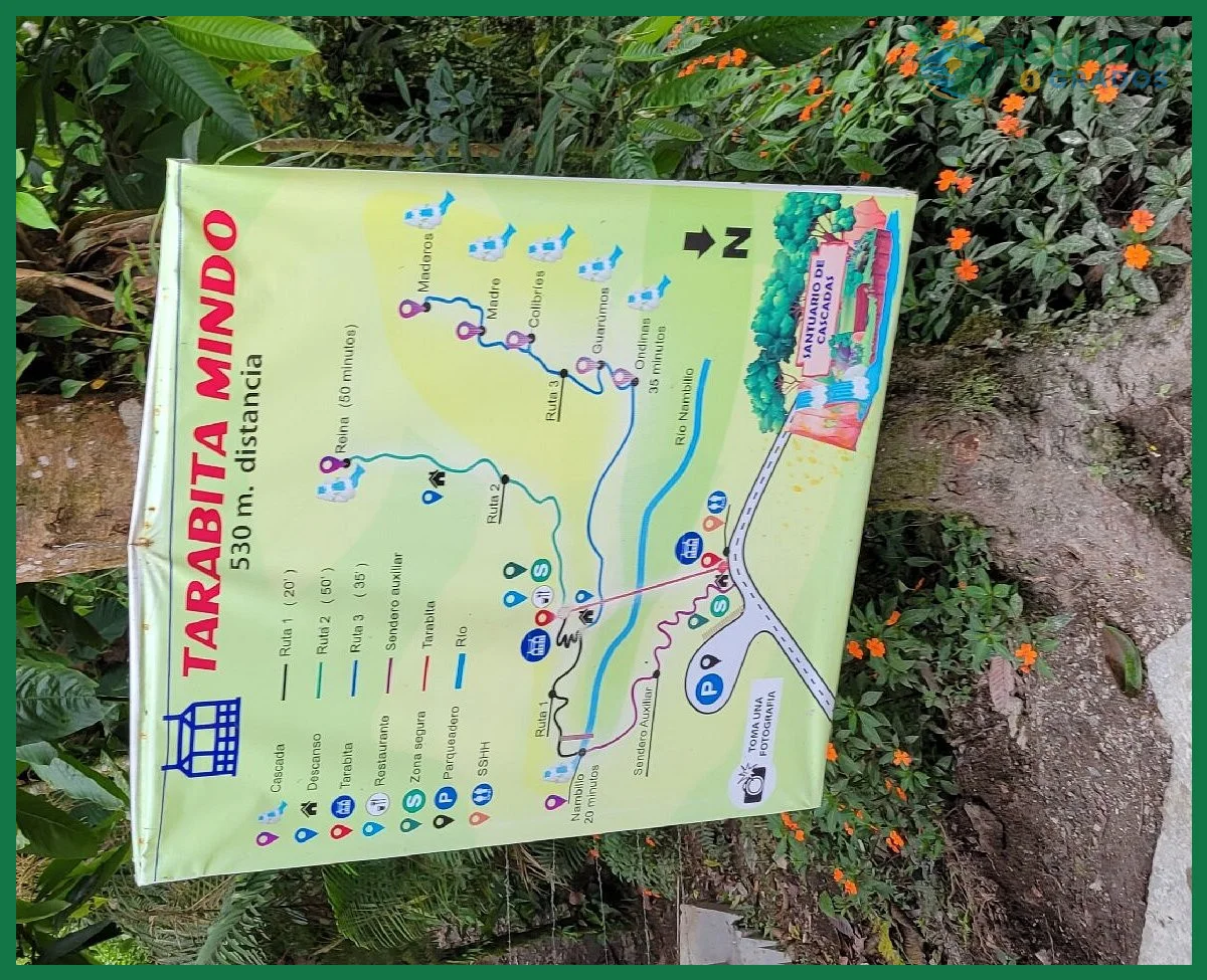 Qué es el Chocó Andino y cómo visitarlo