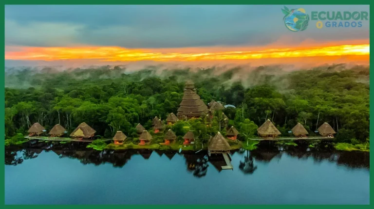 Qué es el Parque Nacional Yasuní