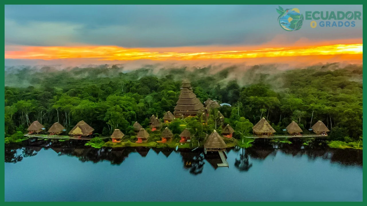 Qué es el Parque Nacional Yasuní