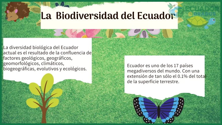 Qué es la biodiversidad del Ecuador