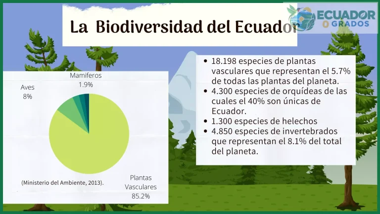Qué es la biodiversidad ecuatoriana y por qué es única en el mundo