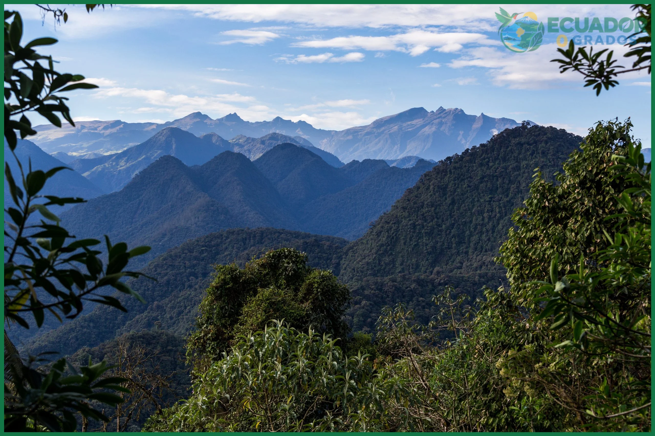 Qué es la Reserva de Biosfera del Chocó Andino