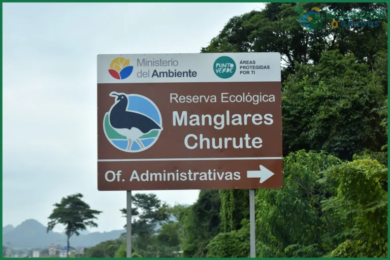 Qué es la Reserva Ecológica Manglares Churute