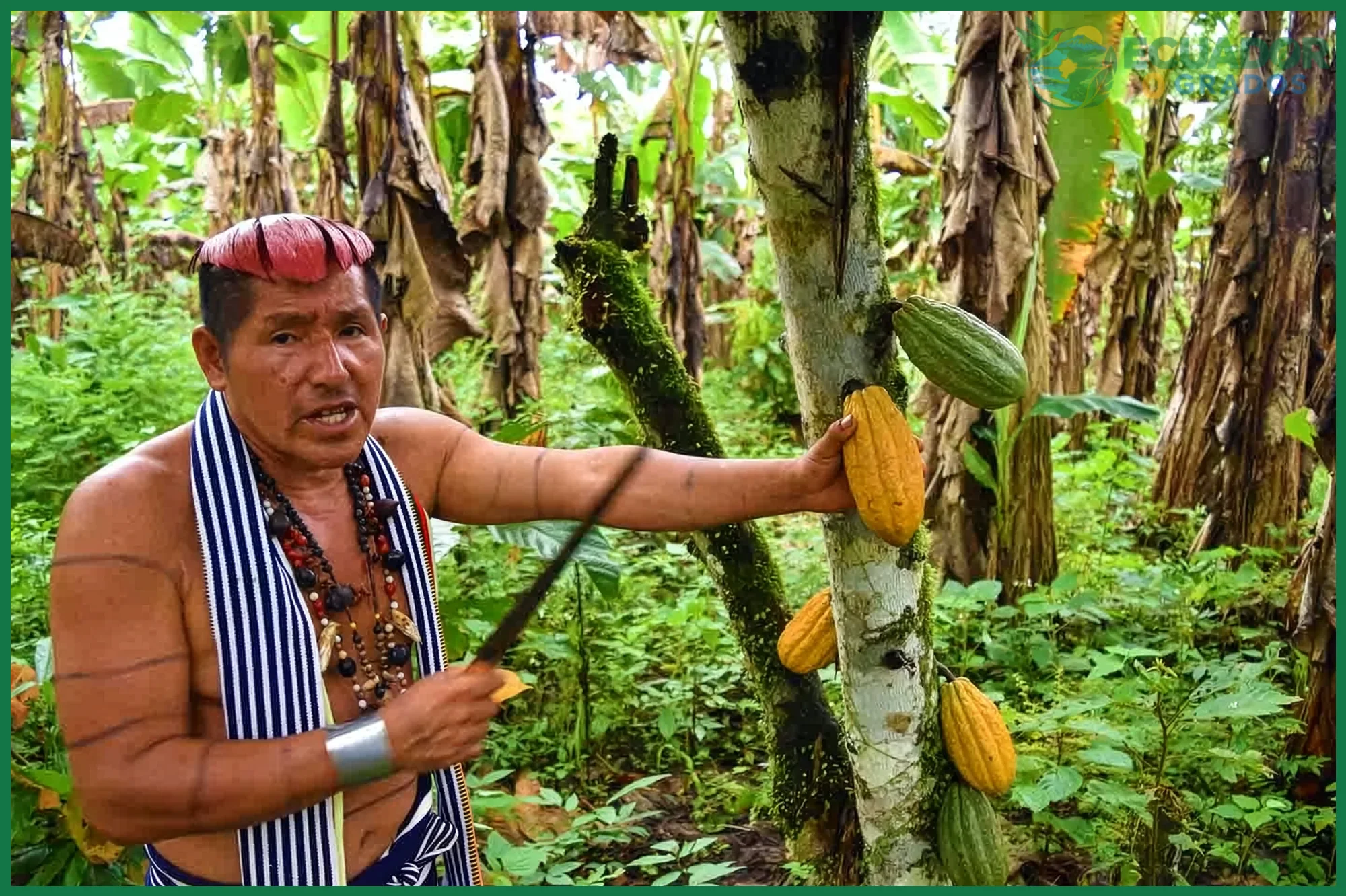 Qué llevar y cómo prepararse para el clima del Chocó Andino