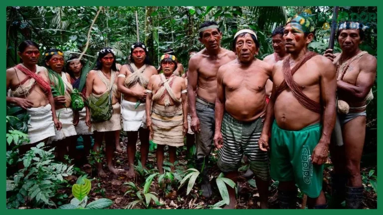 Qué tribus indígenas viven en la Amazonía ecuatoriana