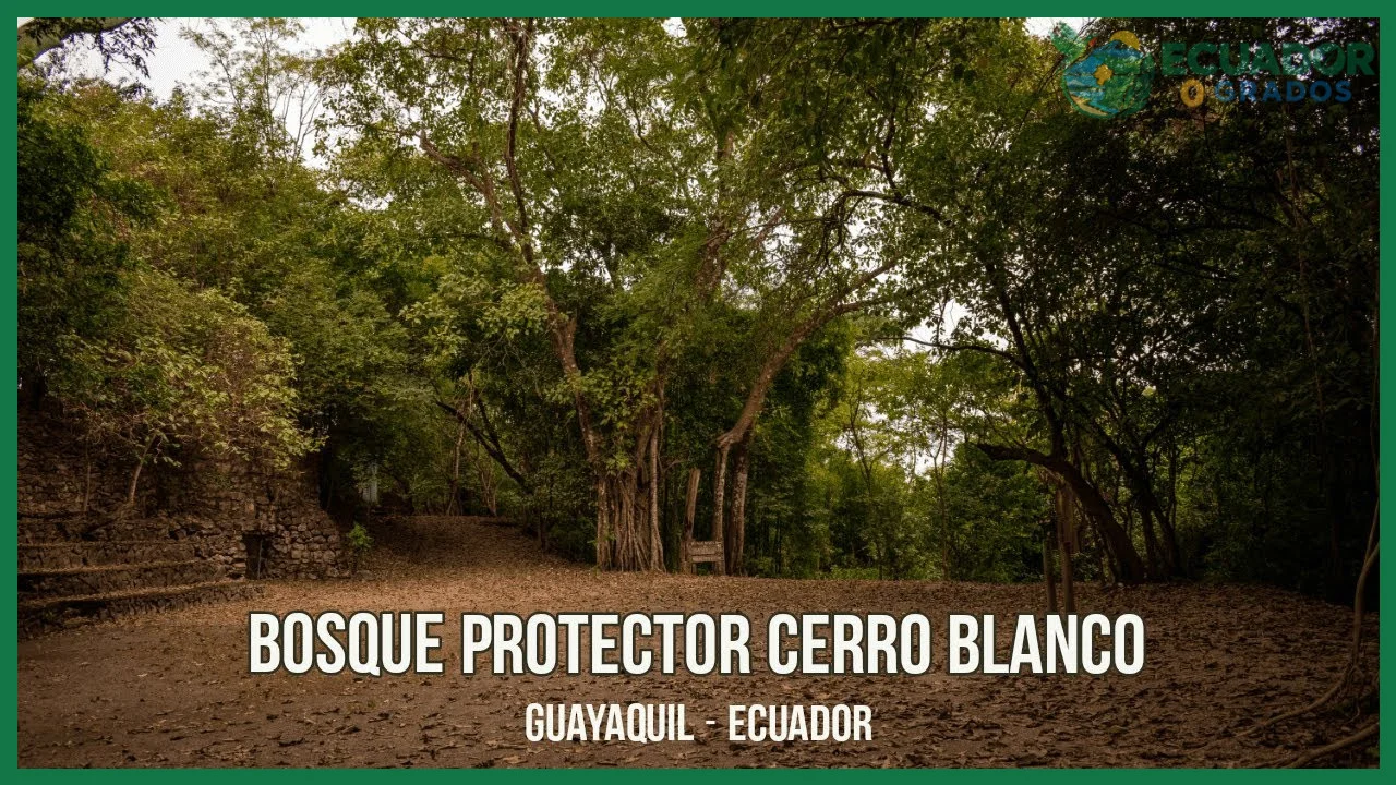 ¿Quién es el propietario y quién administra el Bosque Protector Cerro Blanco?