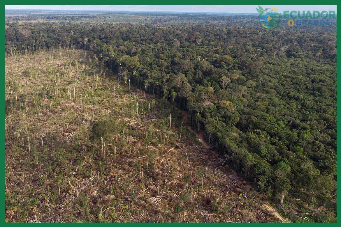 Reconocer la influencia de la cordillera de los Andes y la cuenca del Amazonas