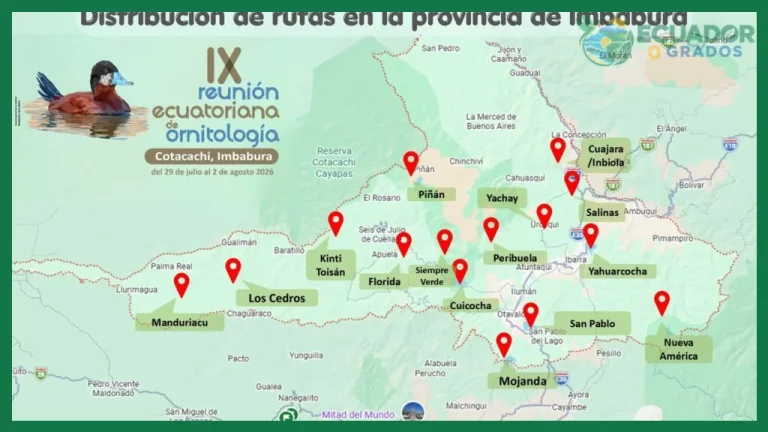 Rutas para ver aves endémicas en Ecuador