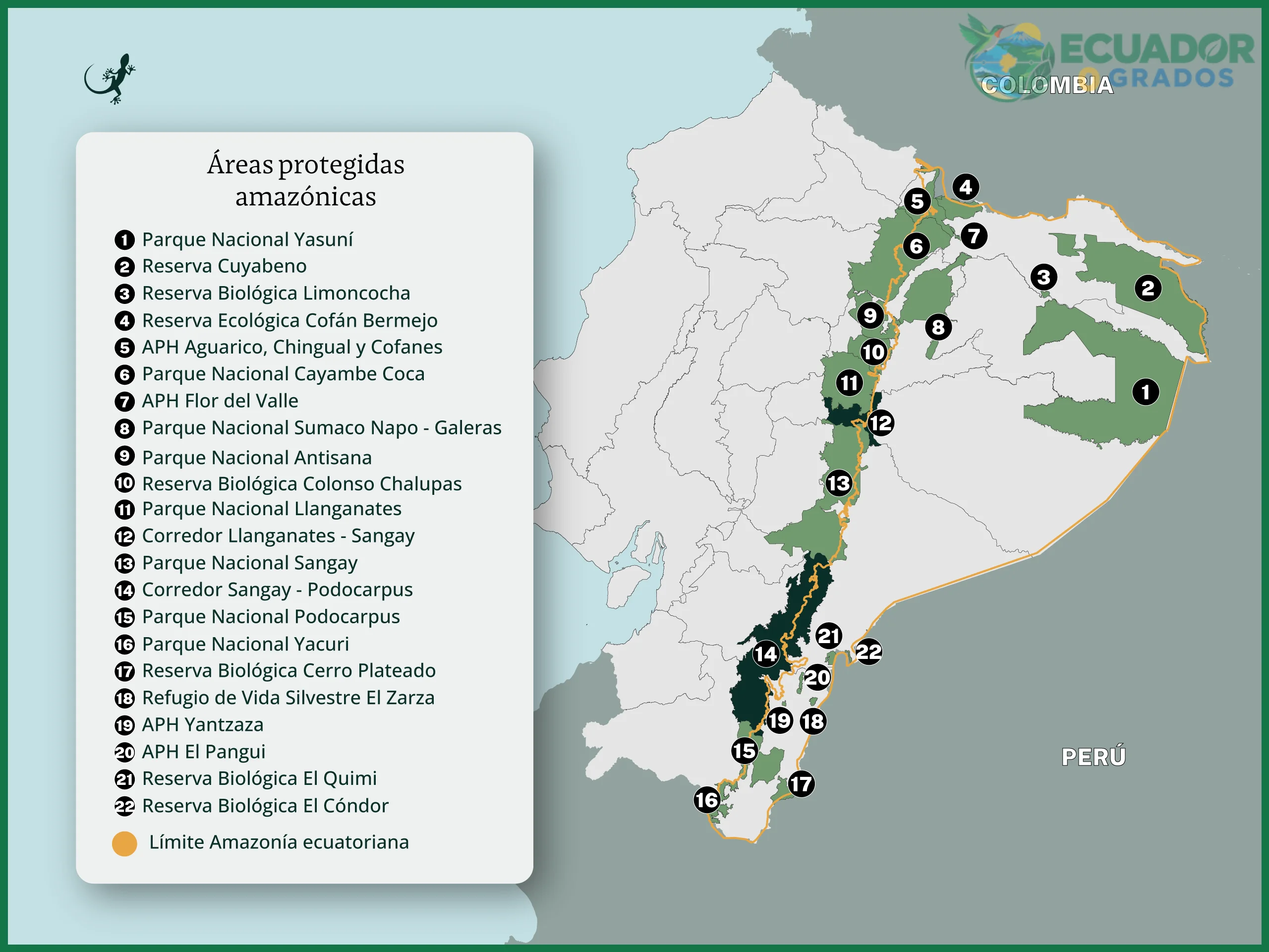 Superficie total en hectáreas y porcentaje del territorio nacional ecuatoriano