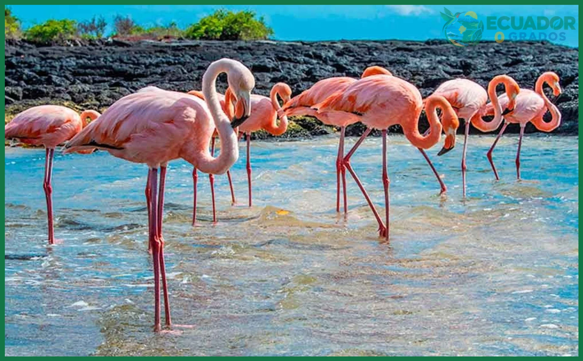 Tour terrestre cerca de Pueblo de Villamil en la isla Isabela
