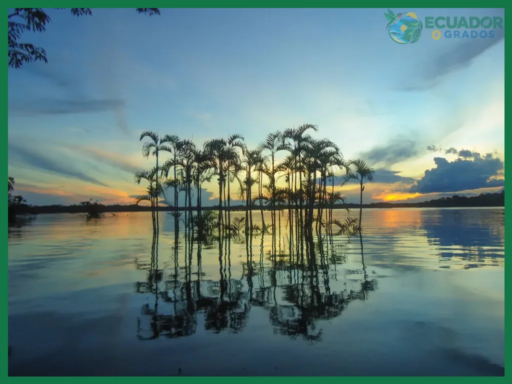 Vacunas recomendadas para visitar la selva amazónica y la costa del Pacífico